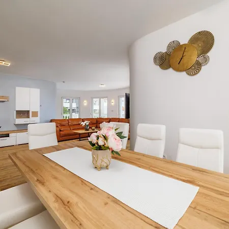 Ceca 茨里克韦尼察