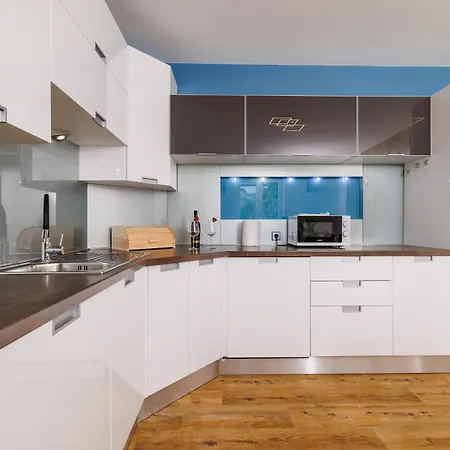 Ceca 茨里克韦尼察