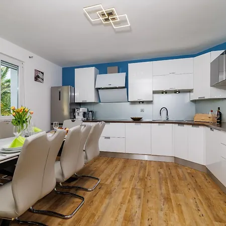 Ceca 茨里克韦尼察